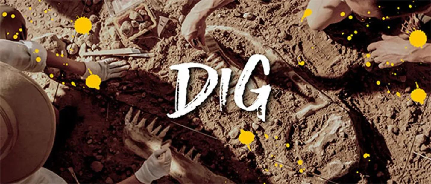Dig