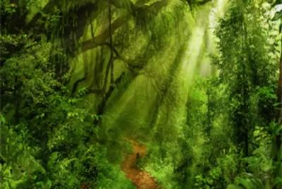 Jungle poster1