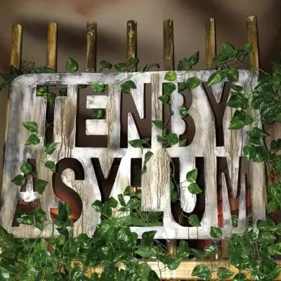 The Tenby Asylum poster2