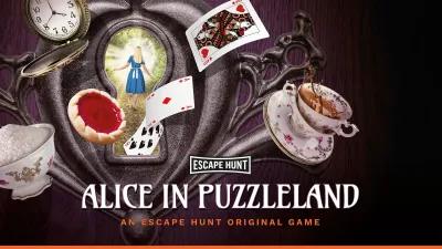 ALICE IN PUZZLELAND poster1