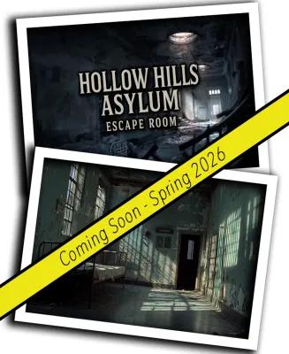 HOLLOW HILLS ASYLUM poster1