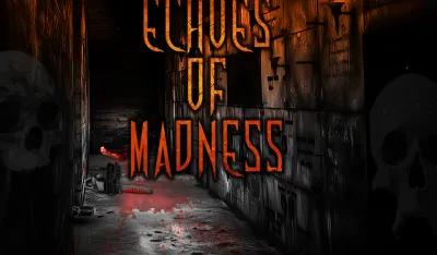 echoes of madness poster1