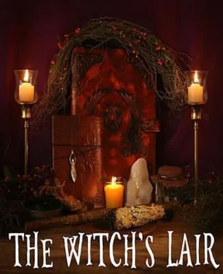 The Witch poster1