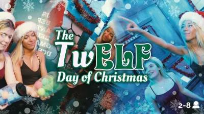 The TwELF Day Of Christmas poster1