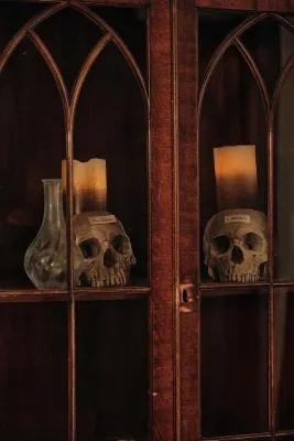 The Anatomist poster4