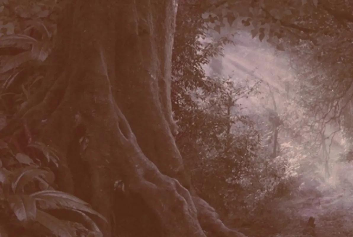 Legend of the Woods