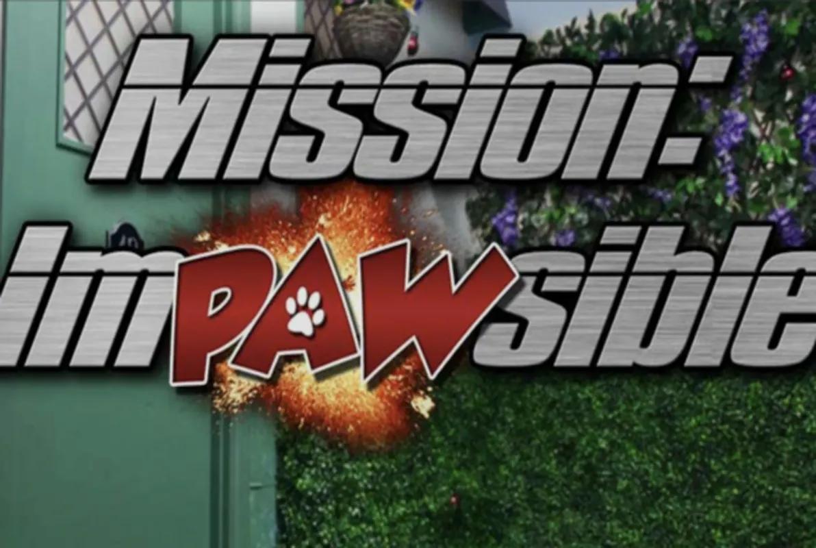 Mission Impawsible