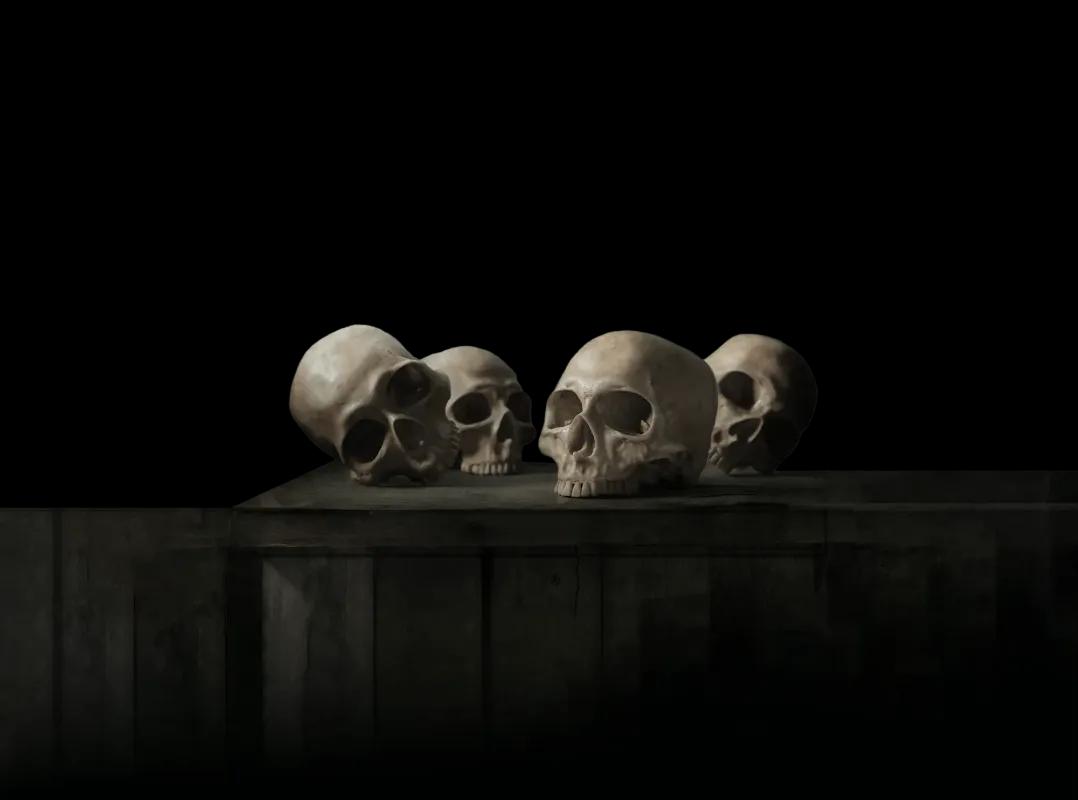 The Anatomist