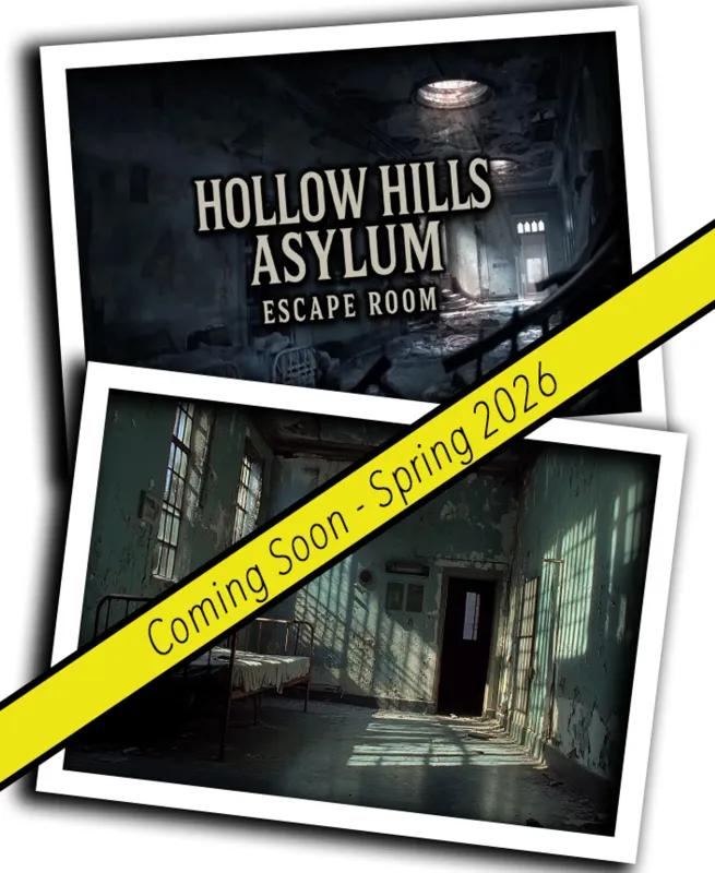 HOLLOW HILLS ASYLUM