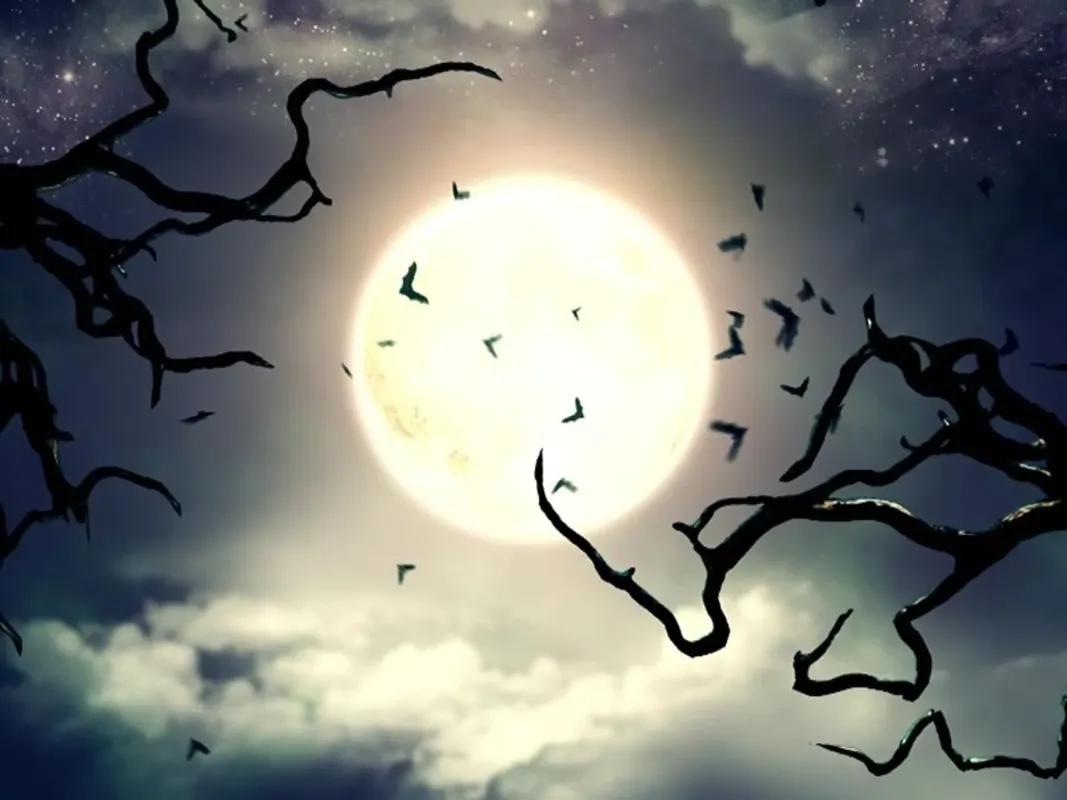 THE WITCHING HOUR
