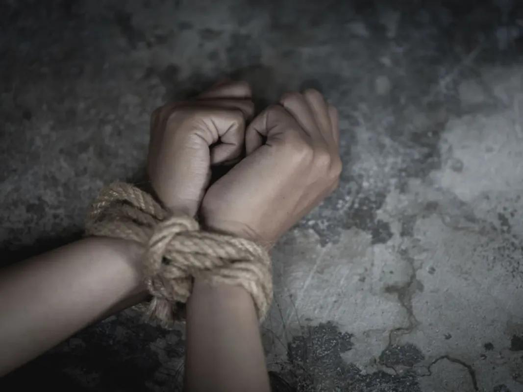 KIDNAPPED: CAPTIVE AUDIENCE