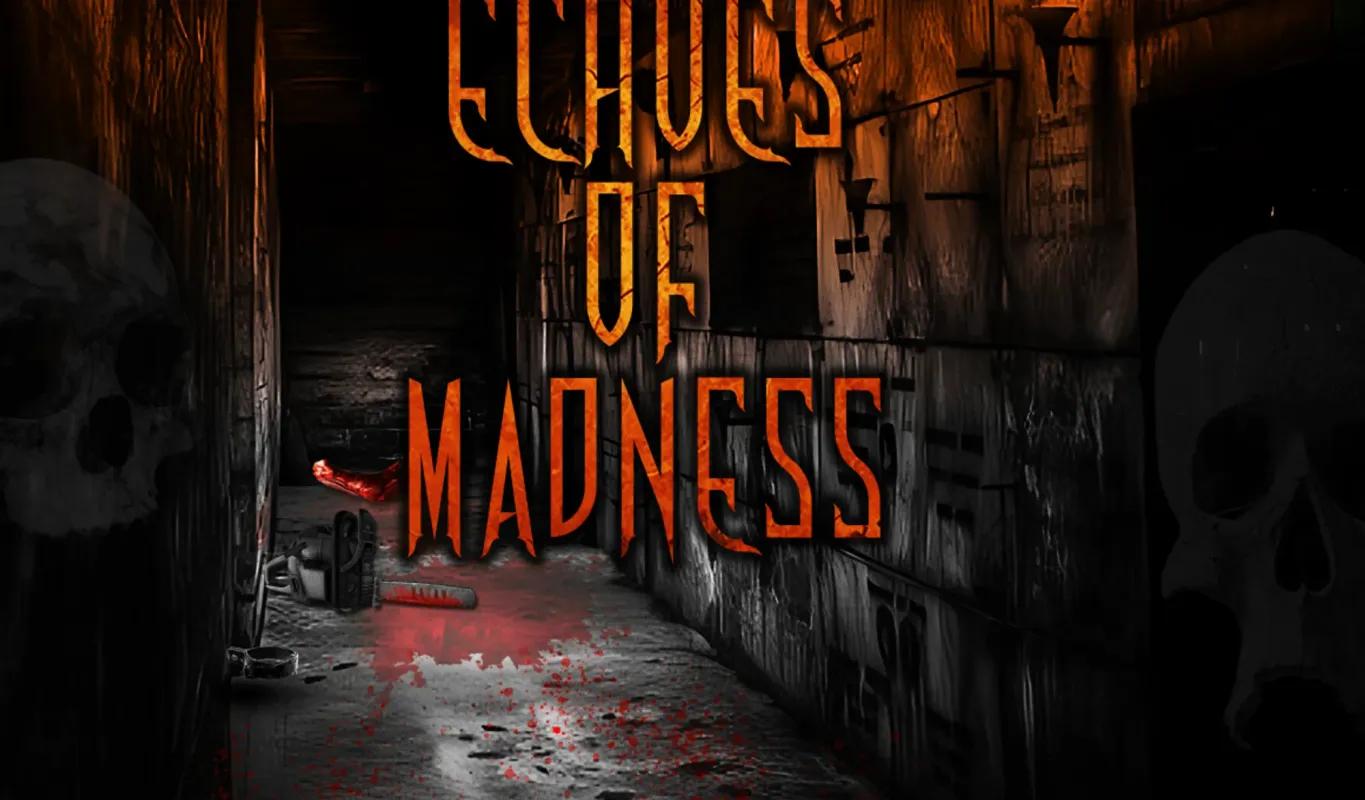 echoes of madness